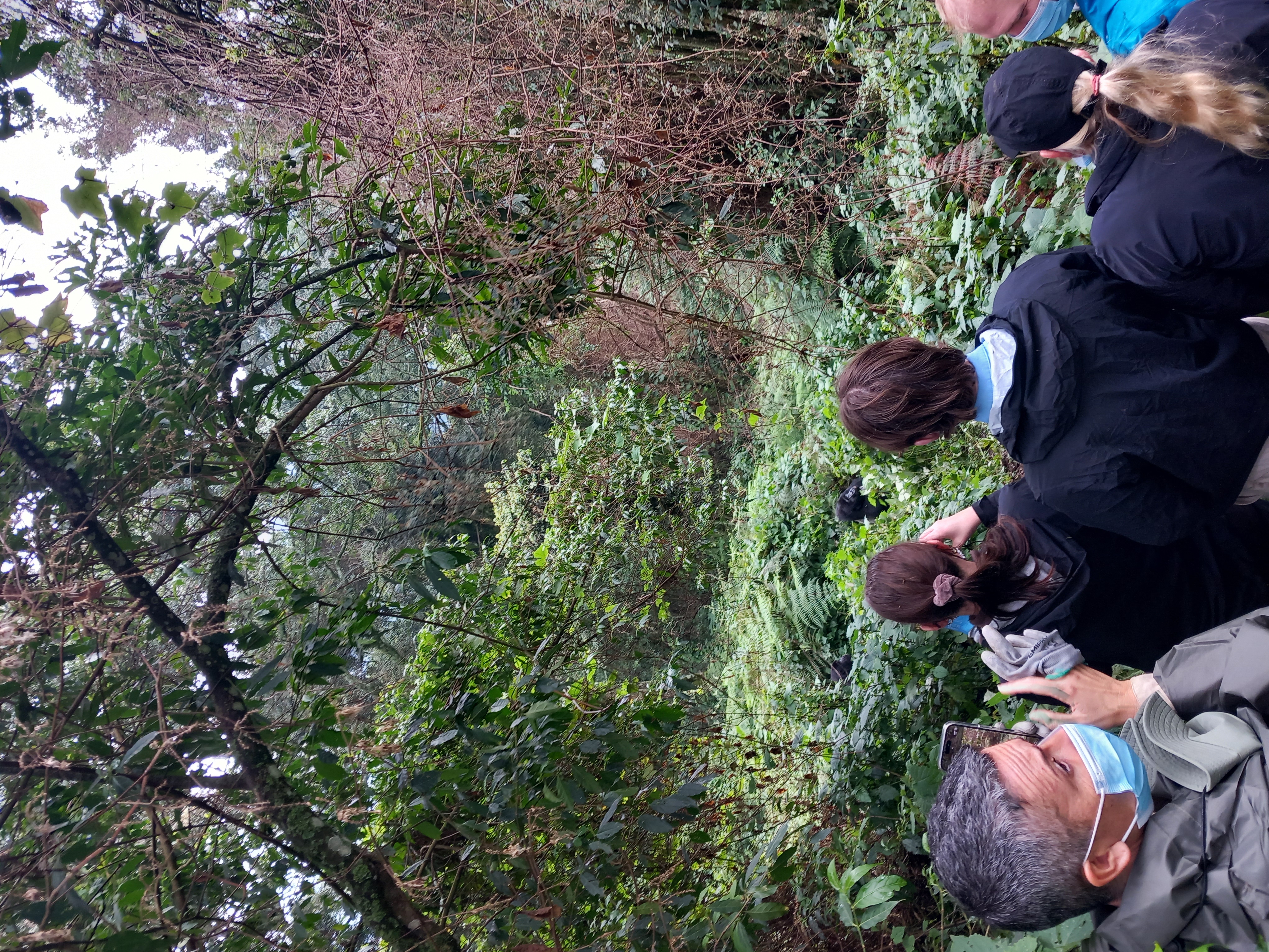 3-Day Amazing Gorilla Trekking Experience