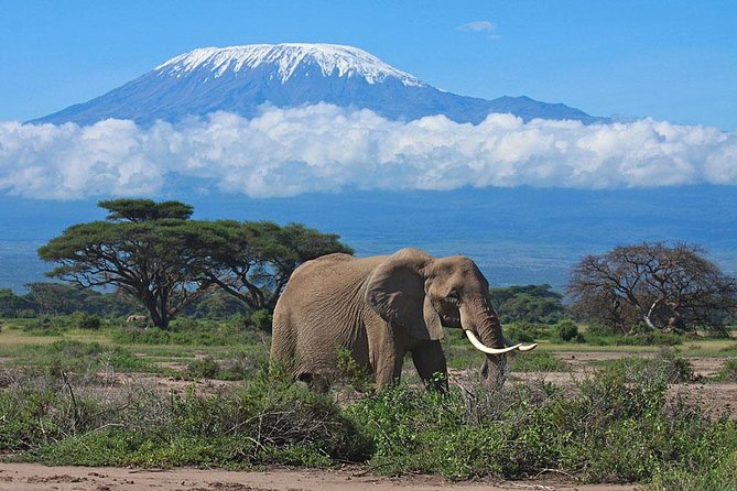 10 Days Rwanda Primates And Wildlife Safari