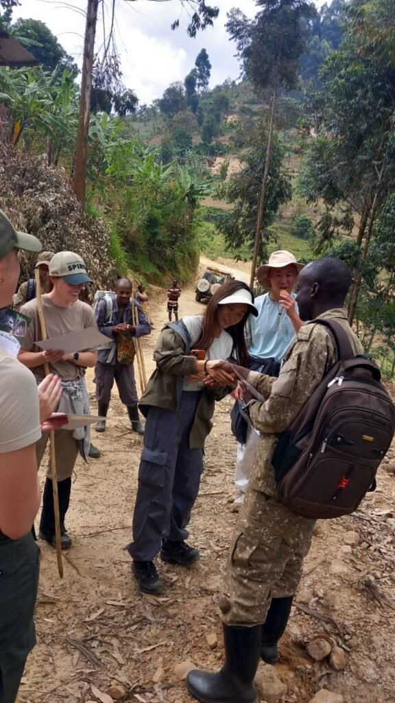 Mountain Gorilla Trekking